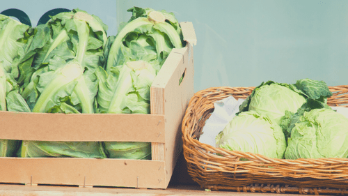 high fiber cabbage and lettuce