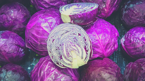 red cabbage for rabbit