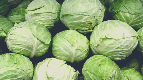 green cabbages for the rabbits