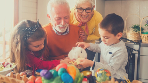 Are Rabbits Good Pets for Kids