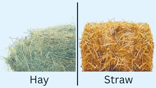 Hay vs. Straw