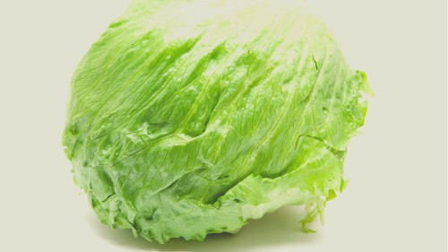 Can rabbits eat iceberg lettuce