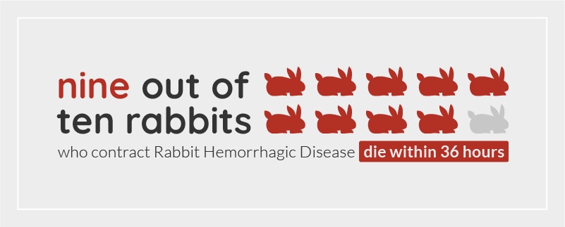 Rabbit Hemorrhagic Disease (RHD) statistic