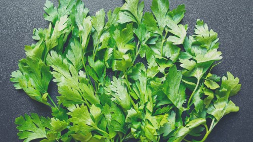 Are all types of parsley safe for rabbits