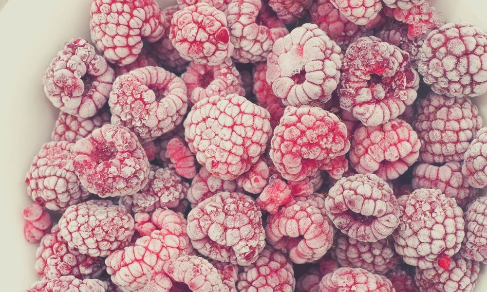 What Types of Raspberries Can Pet Rabbits Eat